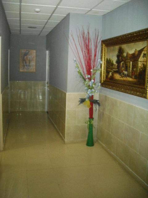 Hostal Ds Velilla de San Antonio Bagian luar foto